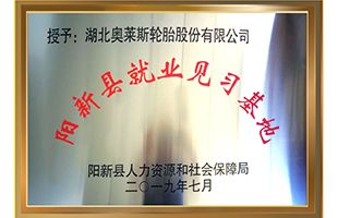 声誉证书_永乐高70net