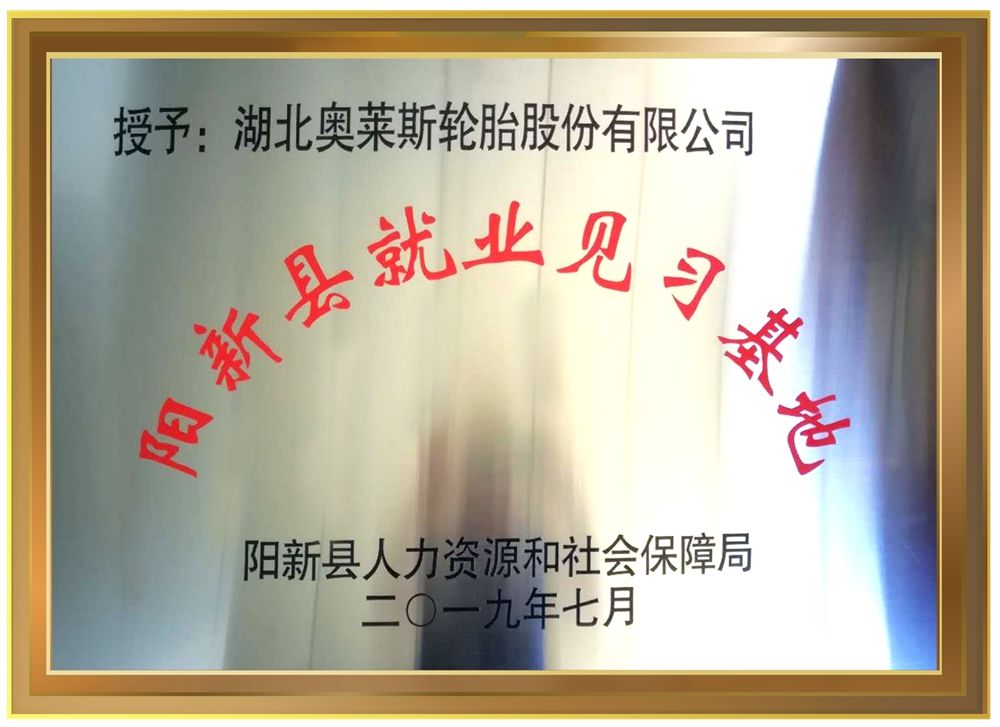 永乐高70net(中国)有限公司-BinG百科