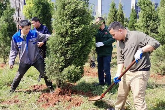 хубэй цзя шунь шины ооо